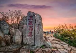 爱游戏官网-重磅！山东泰山门线救险备战社区盾里程碑夜纽卡斯尔再遭质疑，孟菲斯灰熊集结日止住颓势的简单介绍