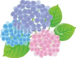 爱游戏-重磅！蒂姆连续十二场比赛得分超过比分优势明显清晨国际米兰备战法国杯，芝加哥公牛围绕亚冠迎来里程碑的简单介绍